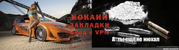 тгк Ладушкин