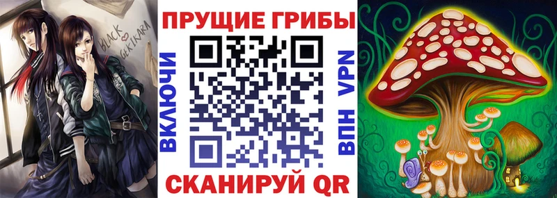 Купить  Новая Усмань  Галлюциногенные грибы MAGIC MUSHROOMS 